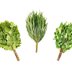 Σάουνα χτυπάει