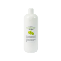 ELIGA Αρωματικά χαμάμ MINT, 1l - 0