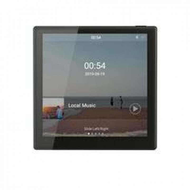 Smart Home on Wall Music Amplifier DM839