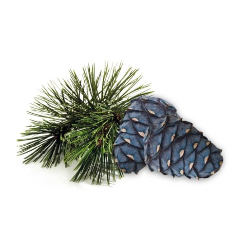 Συμπύκνωμα αρώματος σάουνας HARVIA, πεύκο arolla 1 λίτρο