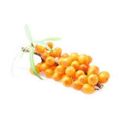 Συμπυκνωμένο άρωμα σάουνας HARVIA, ιπποφαές 1 λίτρο 