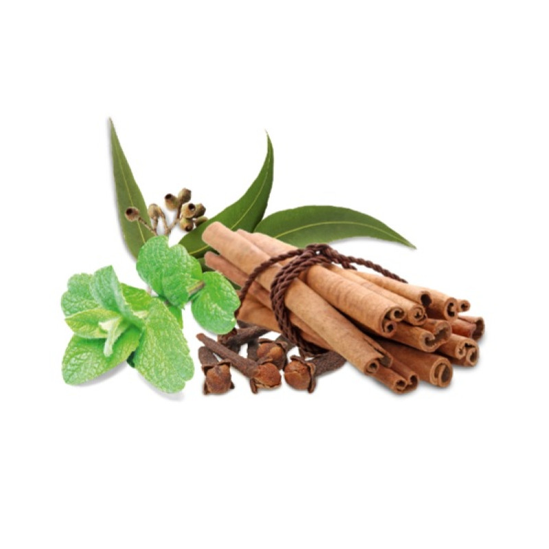 HARVIA συμπύκνωμα αρώματος σάουνας, μπαχαρικών και μέντας 1 λίτρο