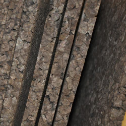 Θερμοφελλός 