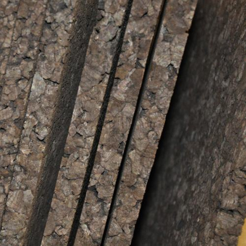 Θερμοφελλός