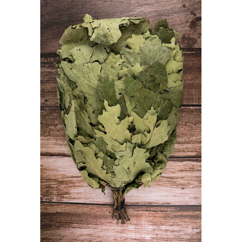 Καναδική σκούπα βελανιδιάς